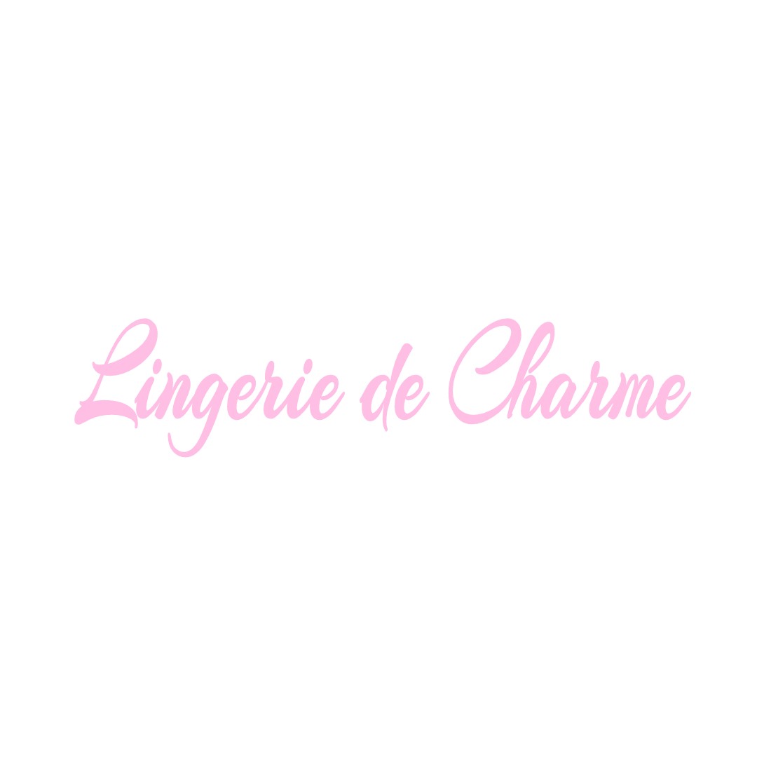 LINGERIE DE CHARME SARGE-SUR-BRAYE